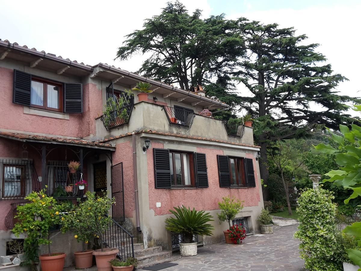 Bed&Breakfast "Fiorella" Sul Lago Castel Gandolfo Extérieur photo